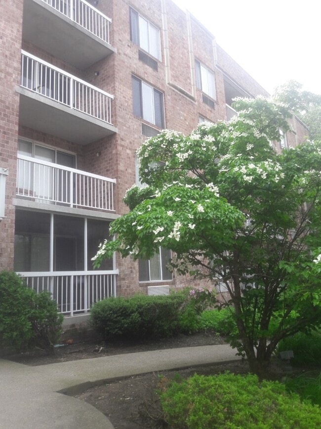 195 Wellington Ct Unit 1st Fl, Staten Island, NY 10314 Condo for Rent