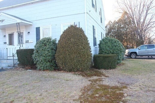 Foto del edificio - 54 Mill St