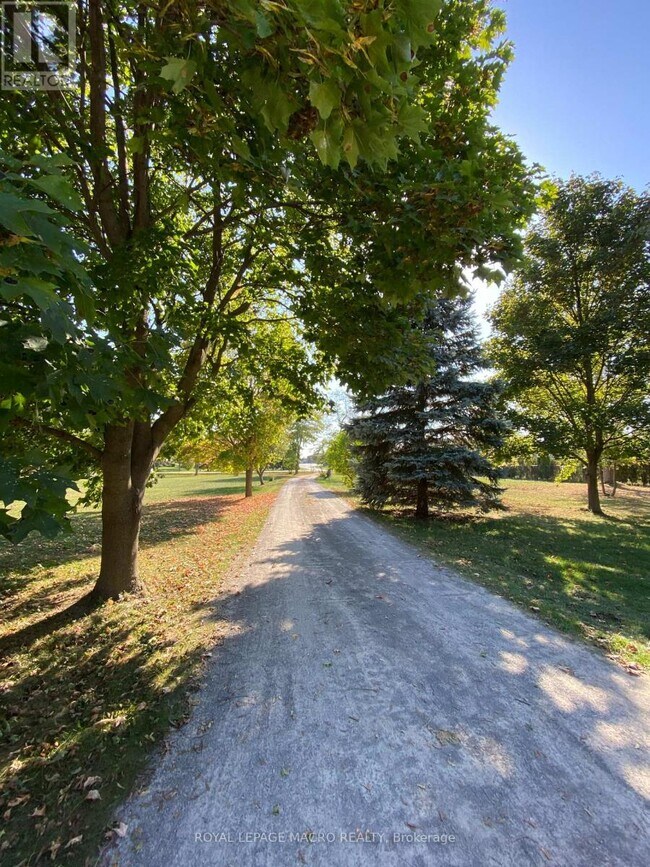 Photo du bâtiment - 805 Ridge Rd