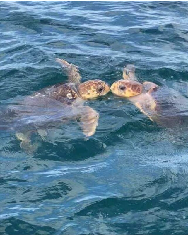 Foto principal - 4565 S Atlantic Ave