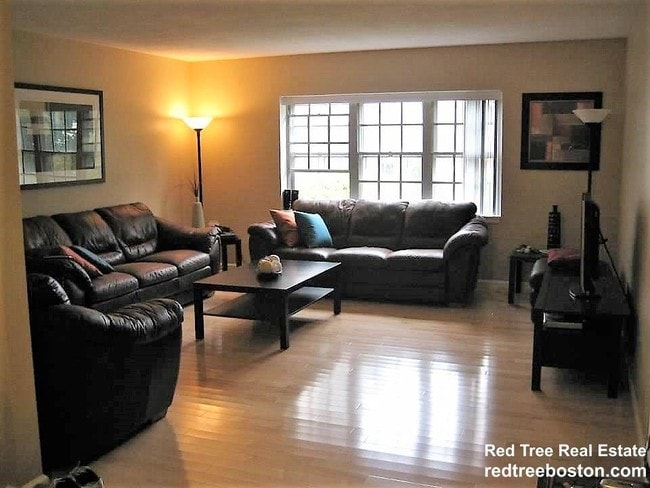 Building Photo - 3 bedroom in Brighton MA 02135