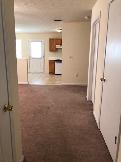 Estas son fotos del apartamento gemelo de al lado. El apartamento está en condiciones similares. - 209 E Wilson St
