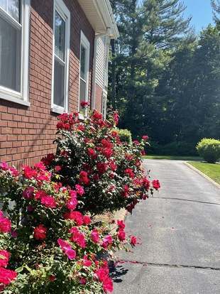 Photo - 48 Seaver St Apartment