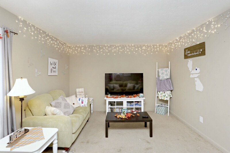 209 Conn Ter, Lexington, KY 40508 House Rental in Lexington, KY