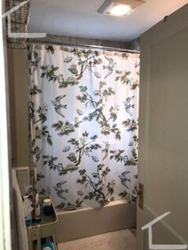 Building Photo - Cozy & Spacious Somerville Listing!