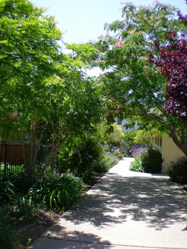 Building Photo - Sunny Upstairs Two Bedroom Unit with Large...