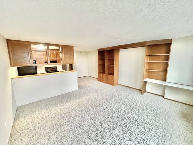 living /dining/kitchen /bed area - 433 S 7th St