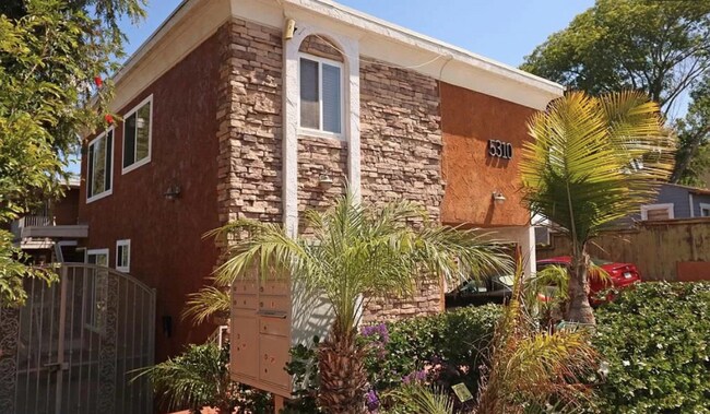 Landscaped building exterior with palm trees - 5310 Rex Ave