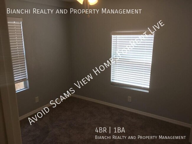 Building Photo - Remodeled 4/1 Home in St Petersburg
