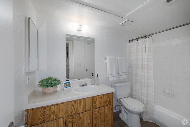 1 habitación, 1 baño - 500 pies cuadrados - Baño - Sunflower Apartments