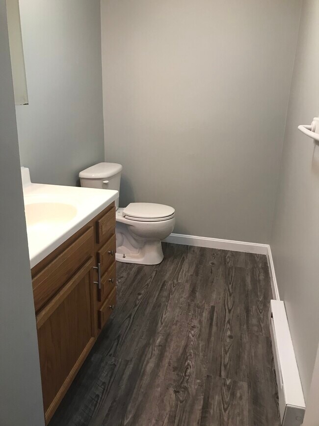 Medio baño en la planta baja - 252 Union St