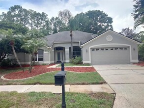 Building Photo - 4700 Ilex Ct