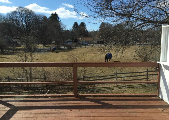 Backyard view - 1 Laur-Lin-Dee Ln