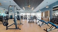 Located at 5440 W Tyson Ave in Tampa, FL, this fitness center spans a generous single floor and is divided into two well-appointed exercise rooms designed to support a full range of training modalities. The space features light hardwood-style flooring throughout, complemented by a striking combination of slatted dark ceilings and sky-blue painted surfaces that lend a modern, energetic ambiance.

The main exercise room is expansive and flooded with natural light through large floor-to-ceiling windows that offer views of the surrounding outdoor areas, including a terrace with palm trees. Ceiling fans and pendant lighting provide both comfort and style. This area is equipped with an extensive array of cardio machines — including treadmills, stair climbers, ellipticals, and stationary bikes — alongside a comprehensive free weights section featuring dumbbells, barbells, and adjustable benches. Cable machines and multi-functional strength stations round out the equipment offerings. Full-length mirrors line sections of the walls, enhancing the sense of space.

The second exercise room serves as a dedicated functional training zone, featuring kettlebells, medicine balls, TRX suspension systems, a heavy punching bag, and plyo boxes. A bold, abstract wall mural adds a vibrant visual accent. This room also includes large display screens for virtual training sessions, making it ideal for group or guided workouts.