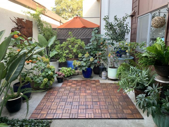 Foto principal - 2 bedroom in Napa CA 94558