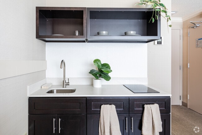 The Petite Studio - 290 SF - VIVO Living Baltimore Apartments