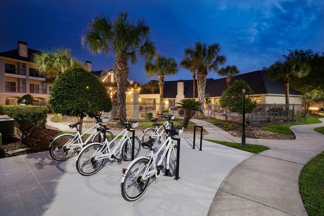 Bicicletas - City Park in the Heights
