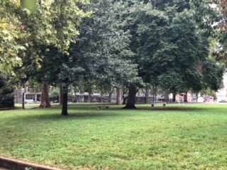 Foto del edificio - 2217 Reed St