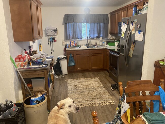 Newly remodeled kitchen - 119 Lehigh St