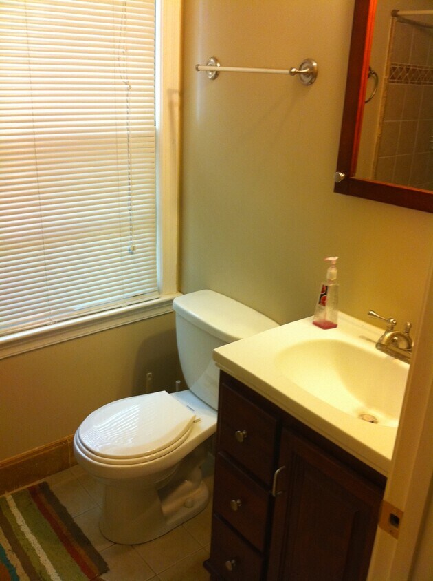 Updated Master bath - 1348 Fama Dr NE