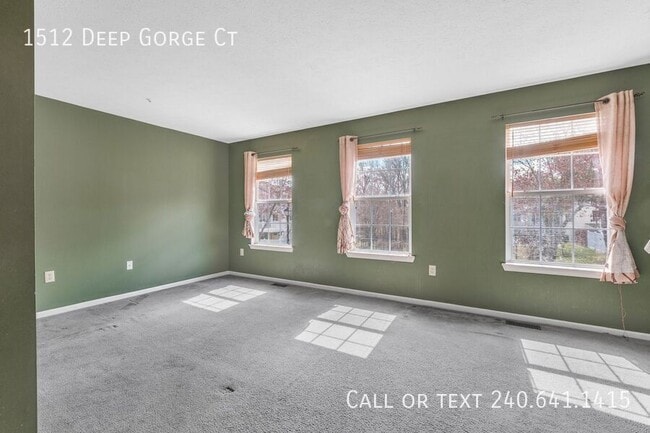 Building Photo - 1512 Deep Gorge Ct