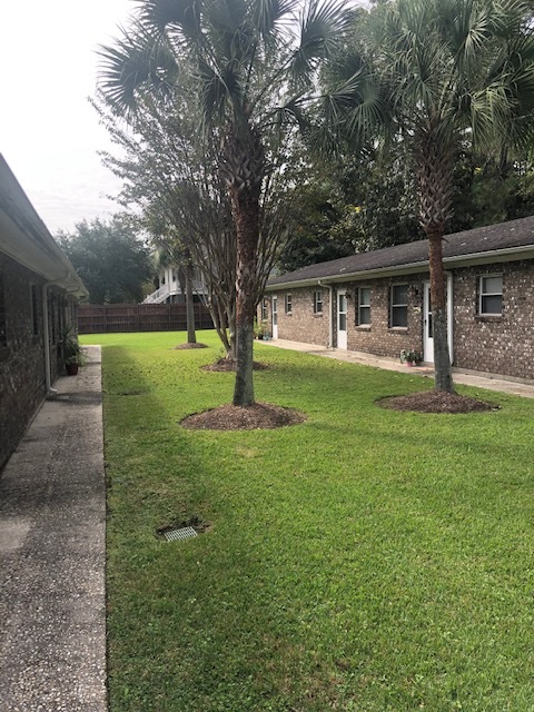 Outdoor Courtyard (entrance) - 2133 Pierpont Ave