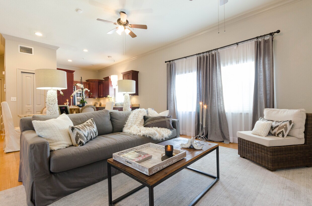 823 Grove St N, Saint Petersburg, FL 33701 Townhome Rentals in Saint Petersburg FL