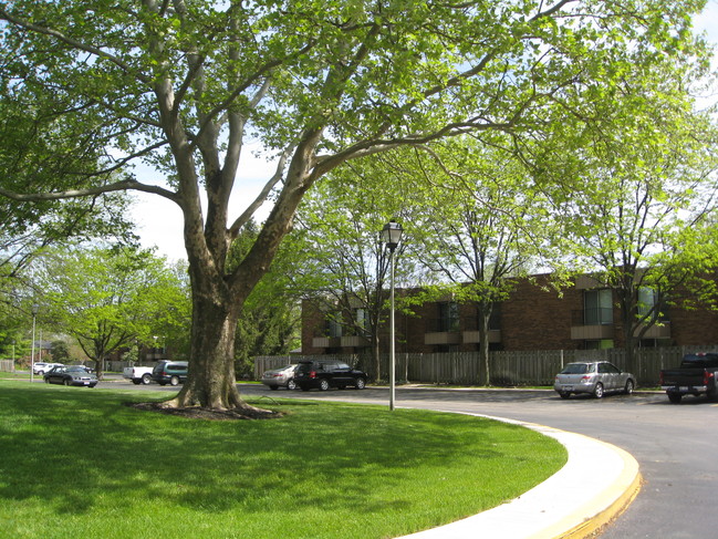 Building Photo - Mackenzie Village Apartments