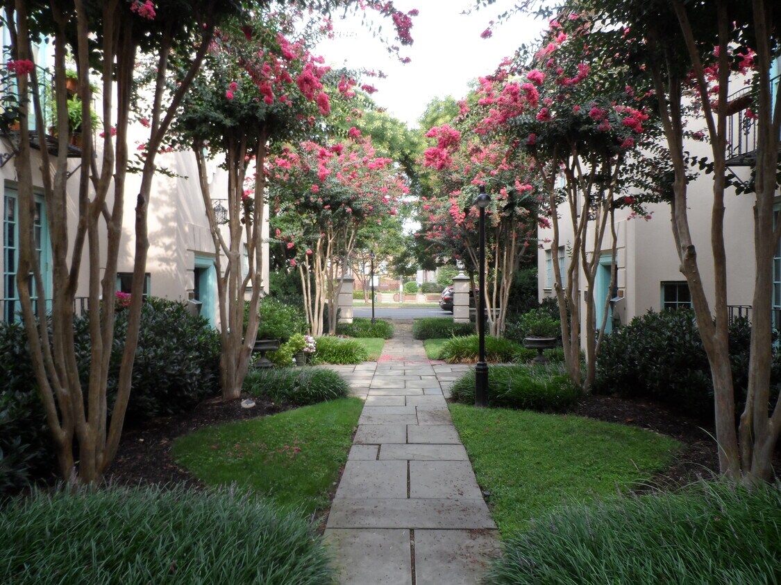 503 N Arthur Ashe Blvd Unit 7, Richmond, VA 23220 Condo for Rent in