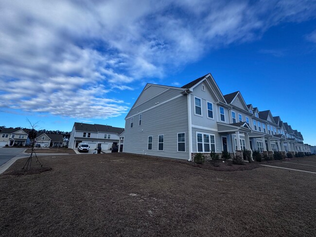 Building Photo - Nexton Townhouse