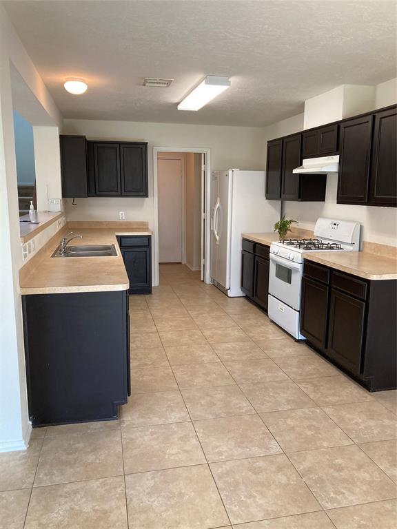 Foto del edificio - 12626 Skyview Creek Ct