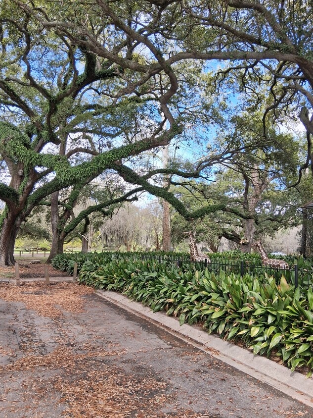 Photo - 6324 Annunciation St (New Orleans, LA)