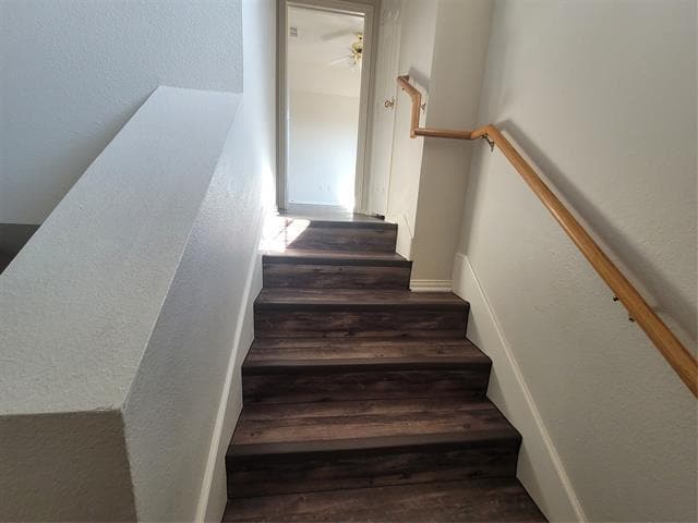 Foto del edificio - 244 Wyndham Meadows Way