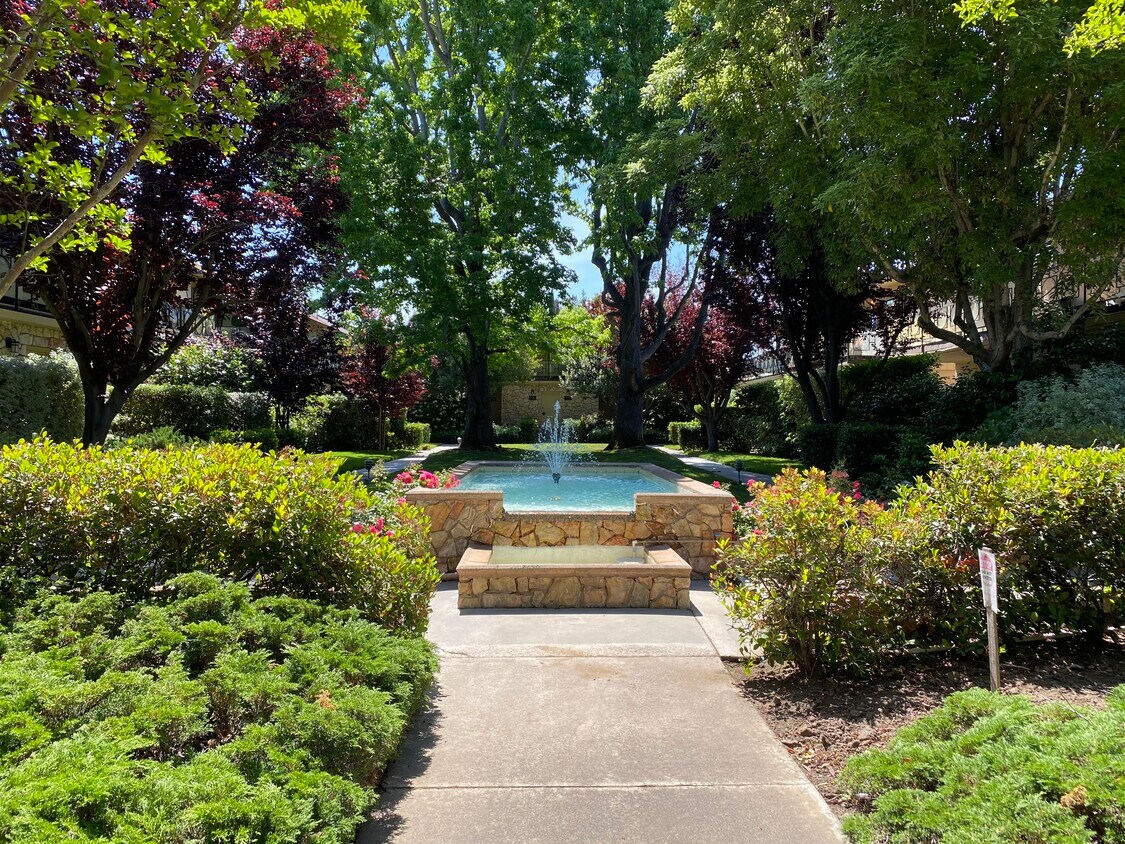 764 University Ave, Palo Alto, CA 94301 Condo for Rent in Palo Alto, CA