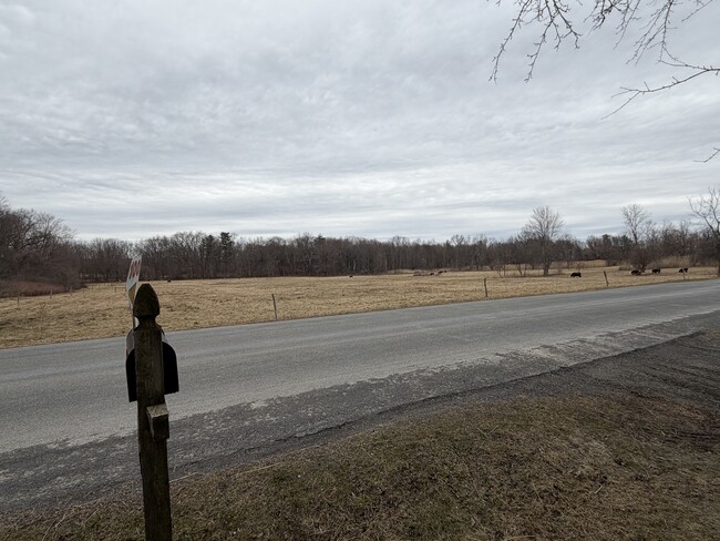 Building Photo - 100 Summerset Rd