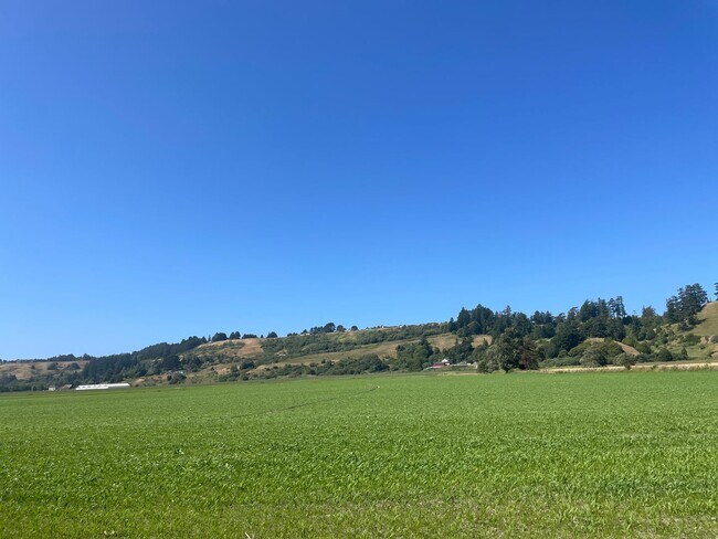 Building Photo - 2 Bedroom, 2 Bathroom with Large Bonus Roo...