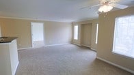 This single-floor space presents a spacious, open living area finished with wall-to-wall carpeting in a light neutral tone, complementing the warm beige walls and crisp white trim throughout. Crown molding runs along the ceiling perimeter, adding a subtle architectural detail that elevates the overall finish of the room. A ceiling fan is mounted overhead, providing both functional air circulation and a central lighting element. Natural light enters through multiple windows, including a pair of narrow vertical windows that frame a recessed niche on one wall, creating a distinctive architectural feature and adding visual depth to the room. An additional window on the adjacent wall further brightens the interior. White baseboards provide clean contrast against the neutral walls. A doorway on one side opens to a secondary room, also carpeted and finished in the same light palette, suggesting a consistent design language throughout the space. The overall ambiance is calm and understated, with a move-in-ready feel suited to a variety of uses and furnishing styles.