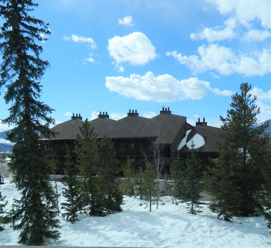 Primary Photo - Winter Seasonal Rental- Snowscape 402