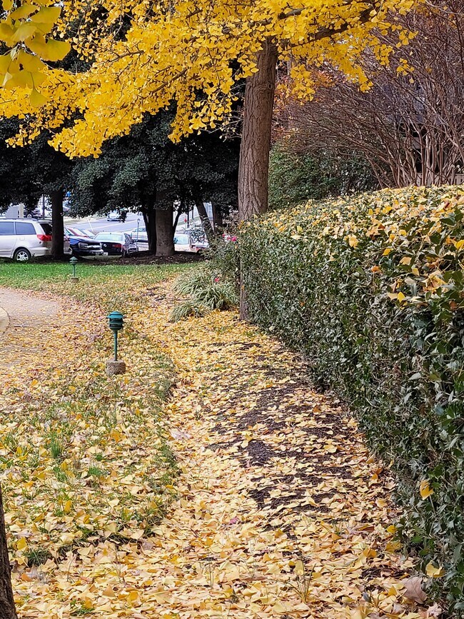 Building Photo - 3450 Toledo Rd