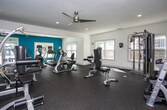 Located at 8855 N River Pkwy in Sandy Springs, Georgia, this fitness center offers a comprehensive workout environment designed to accommodate a wide range of exercise routines. The single-floor facility is laid out across a generously open floor plan, finished with durable rubber flooring ideal for both cardio and strength training activities.

The space is divided into distinct functional zones. A dedicated strength training area houses a full dumbbell rack with a broad range of weights, multiple cable and resistance machines, and adjustable benches, providing ample options for targeted muscle training. A separate cardio zone features Matrix-brand upright and recumbent bikes, elliptical trainers, and treadmills, all positioned alongside large windows that flood the area with natural light and offer views of the surrounding greenery.

A bold teal accent wall adds a vibrant, energizing atmosphere to the space, contrasting with the otherwise clean white walls and trim. Ceiling fans and recessed lighting provide comfortable climate control and even illumination throughout. Large mirrors are strategically placed to enhance the sense of space and support proper form during workouts. Multiple entry points, including glass-paneled exterior doors, further contribute to the bright and welcoming ambiance of this well-appointed fitness facility.