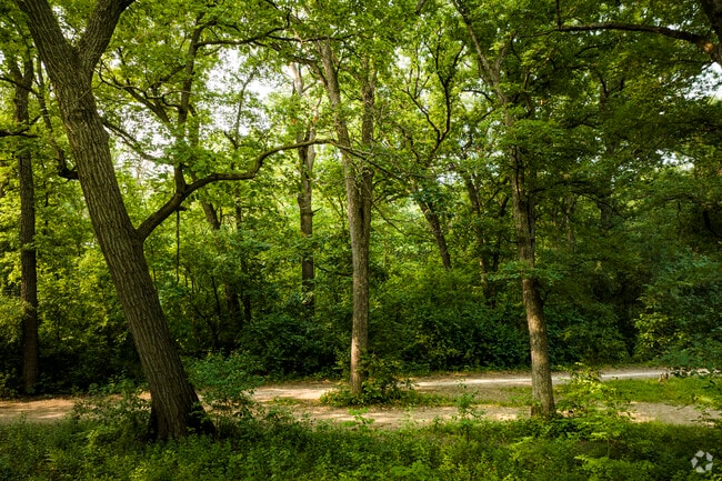 Scenic moments are had in the Cook County Forest Preserves at Hickory Hills on the Palos trails.