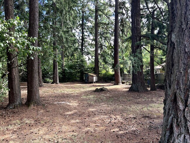 Building Photo - Brand New ADU!