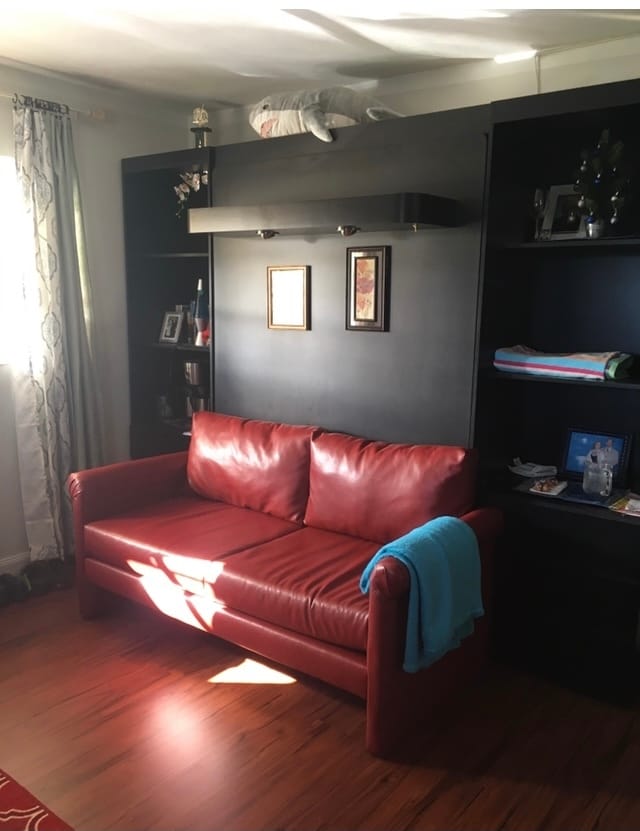 Sitting/sleeping area (Murphy bed up) - 3525 Polk St