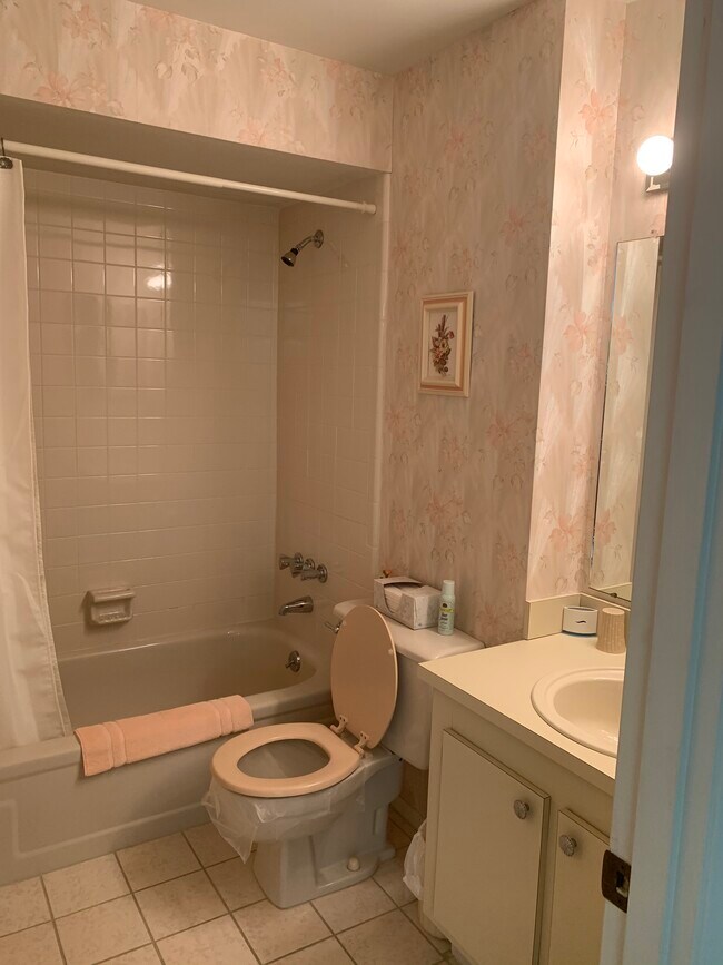Guest bath - 345 24th St NW