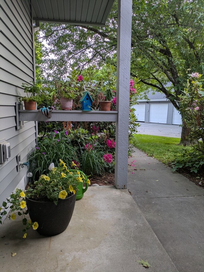 Blooming perennials at entryway - 4 Chelsea Cir