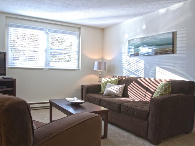 Warm Living Area with natural light - Princeton Dover Apartments