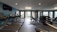 This fitness center offers a thorough and well-organized workout environment designed to accommodate a wide range of exercise routines. The space is defined by its bold teal accent walls, recessed and fluorescent overhead lighting, and durable rubber flooring throughout, creating a functional and energizing atmosphere.

The cardio section lines one side of the room with a row of Matrix treadmills and elliptical machines, each equipped with individual digital consoles. A wall-mounted flat-screen television is positioned above the cardio equipment, providing entertainment during workouts. Large sliding glass doors and multiple windows allow ample natural light to fill the space while offering views of the surrounding outdoor area.

The strength training zone is well-stocked with a tiered dumbbell rack holding a full range of free weights, multiple adjustable benches, and a multi-station cable machine, offering versatile options for resistance training. Floor-to-ceiling mirrors span an entire wall, visually expanding the space and allowing users to monitor their form throughout their workout.

The layout efficiently separates cardio and strength training areas, maximizing usable floor space and ensuring a comfortable flow between equipment. The combination of natural light, mirrored walls, and comprehensive equipment selection makes this fitness center a capable and inviting facility for daily training.