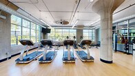 This generously sized fitness center offers a well-appointed, single-floor layout designed to accommodate a full range of workout activities. The space is defined by its industrial-modern aesthetic, featuring exposed concrete columns, visible ductwork along the ceiling, and warm hardwood flooring throughout that provides both visual warmth and a durable workout surface.

The cardio zone is a standout area, lined with rows of Star Trac treadmills and additional cardio machines positioned to face expansive floor-to-ceiling grid-pane windows. These large windows flood the space with natural light and frame views of lush outdoor greenery and an exterior terrace, creating an energizing atmosphere for exercise. Wall-mounted flat-screen televisions are positioned throughout for additional entertainment.

A dedicated cycling area accommodates Stages spin bikes alongside a wall-mounted screen and direct access to natural light from oversized windows. An open studio space provides a clear, flexible area ideal for stretching, group classes, or functional training, with mirrored walls offering views into the adjacent cardio section. The entry area features polished concrete flooring, blue accent walls, and a welcoming transition into the main fitness floor, completing a cohesive and functional facility.