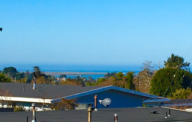 Building Photo - Bay Views! Pet Friendly!3/2 with  2 Car Ga...