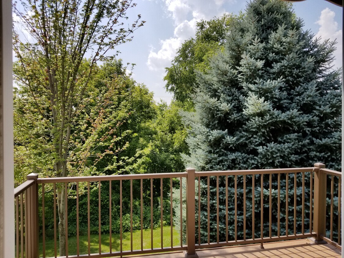 Foto principal - 9719 Xenium Lane N